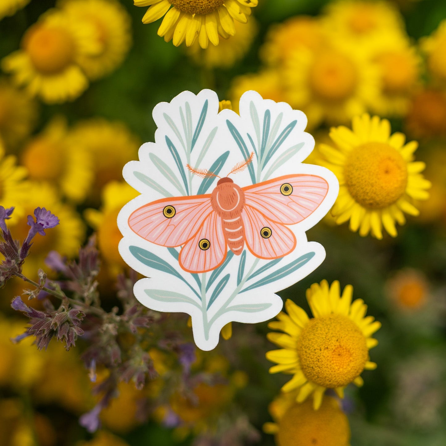 Rosemary Moth Vinyl Sticker